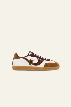 deportivas